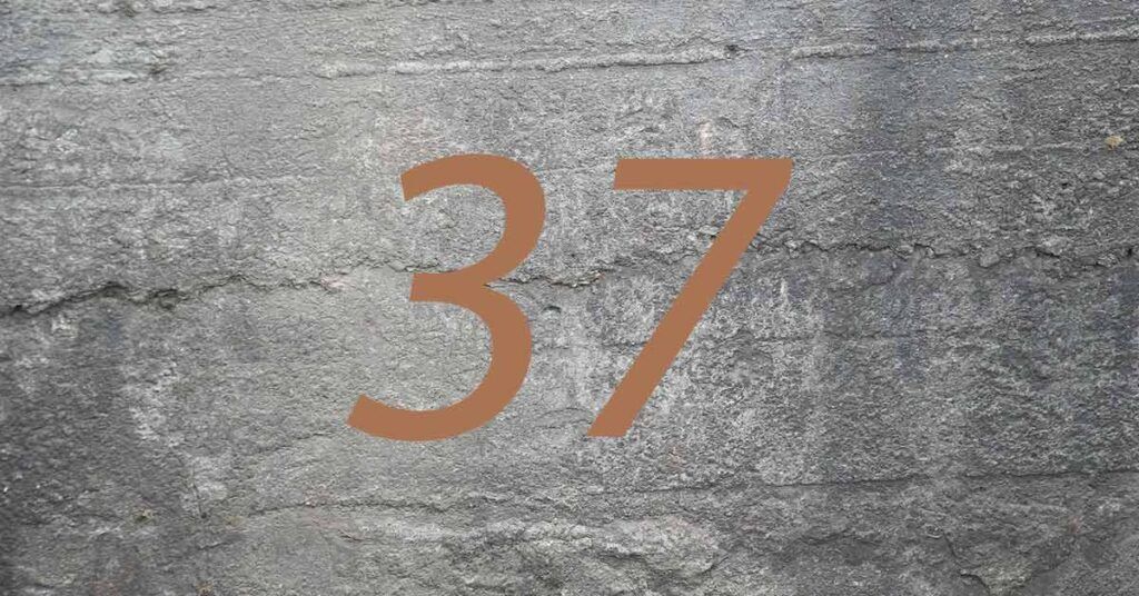 Zahl des Monats Juli: 37