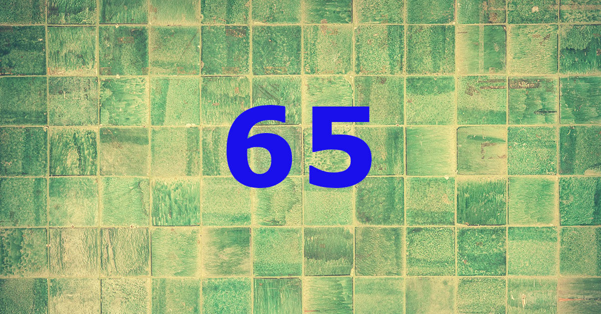 23 05 ZdM tiles 1846980 1920 bearb klein Copyright Pexels