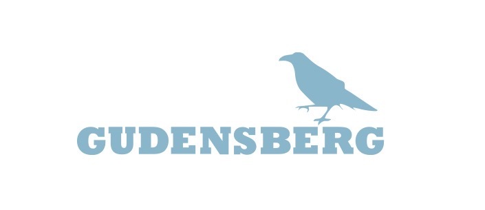 Projektvorstellung im Haupt- und Finanzausschuss der Stadt Gudensberg